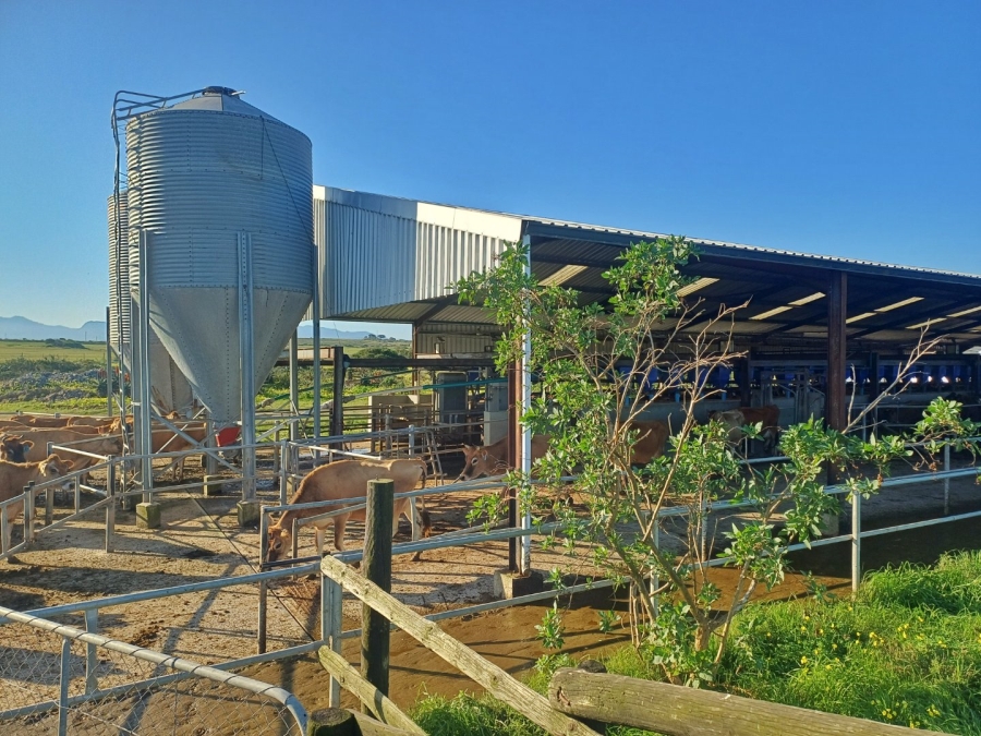 Commercial Property for Sale in Hartenbos Rural Western Cape
